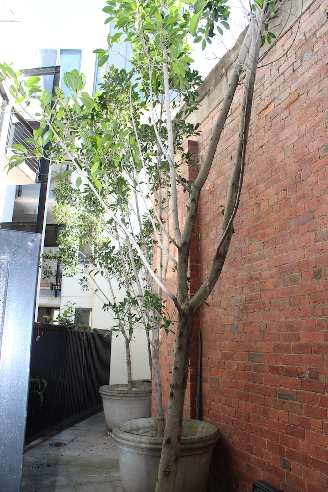 Australian Home Away at Market Square Melbourne