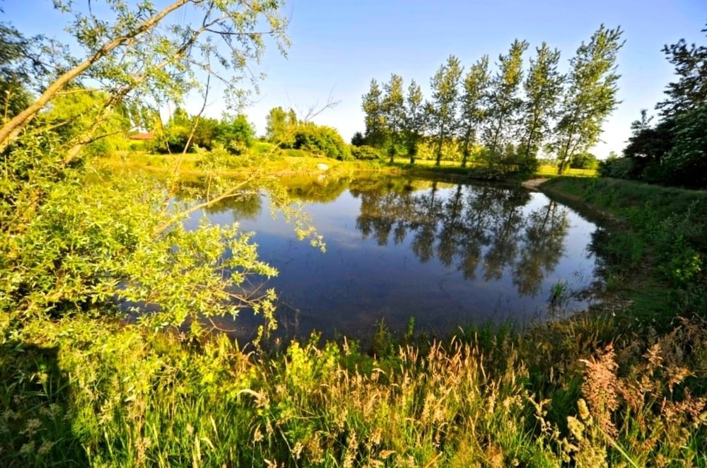 Domaine de la Bellière