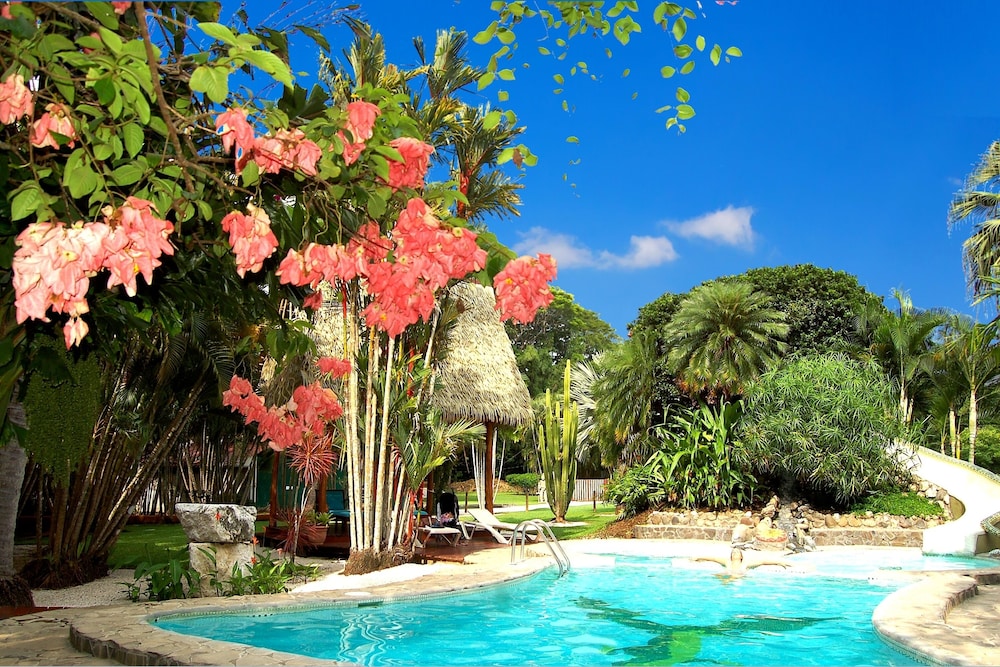 Hotel Flying Crocodile - Image 1