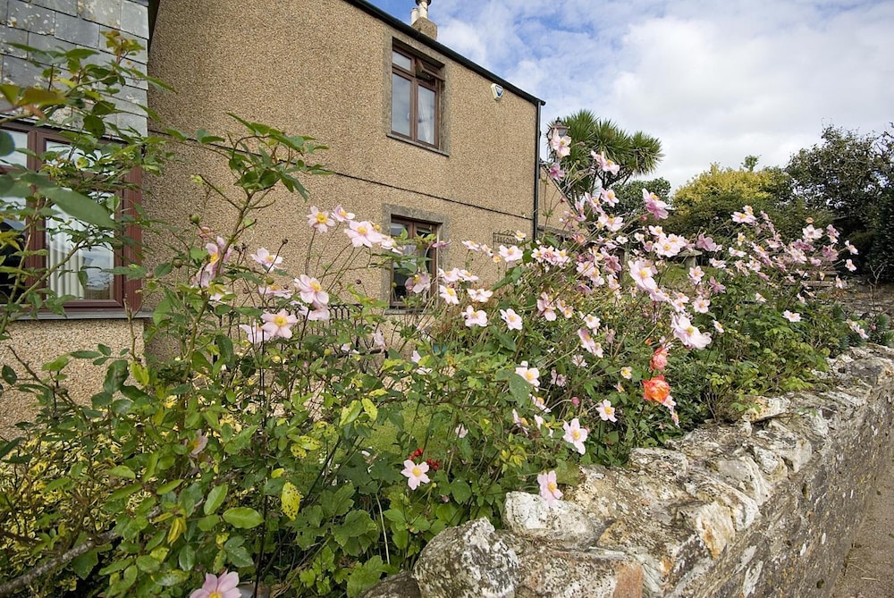 Tregondale Manor Farm