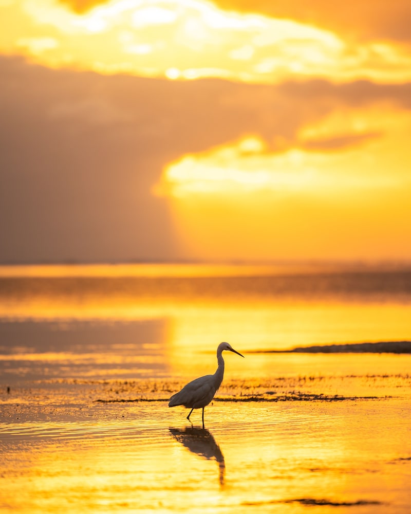 Hakuna Majiwe Beach Lodge