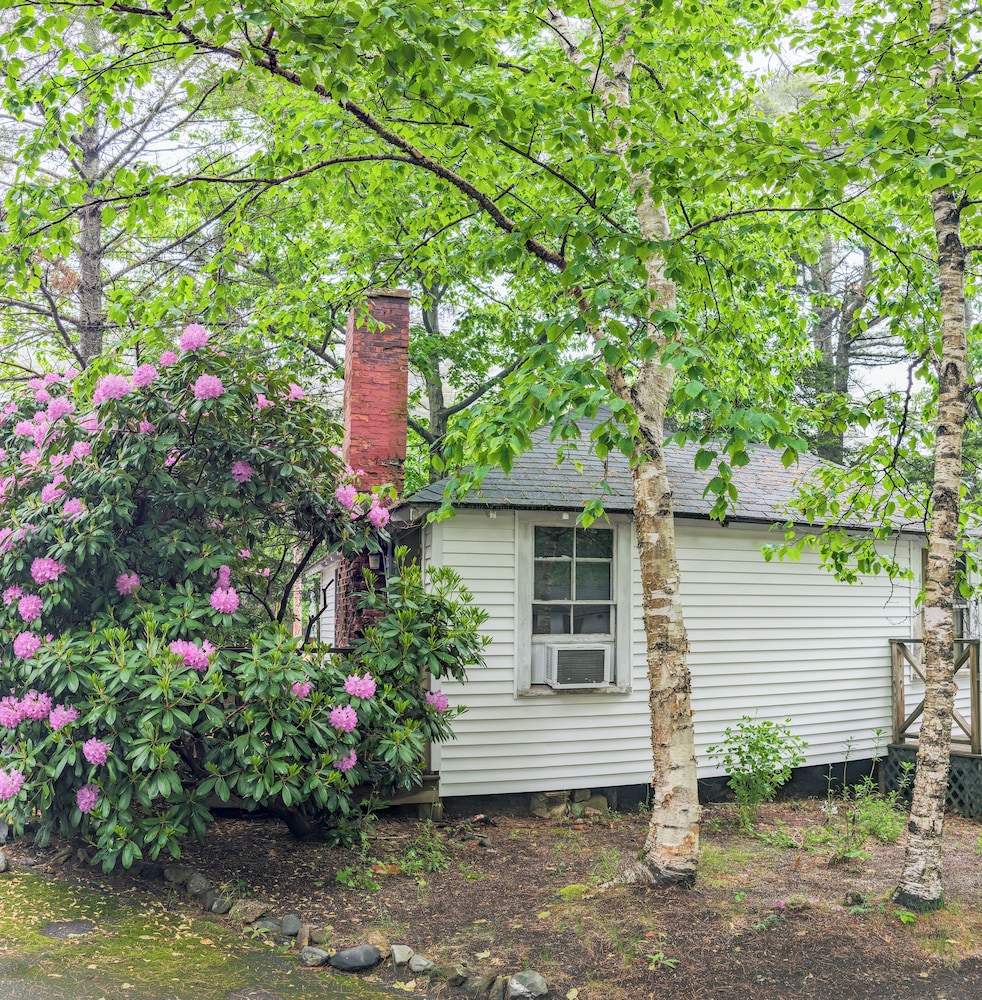 Hinckleys Dreamwood Cottages
