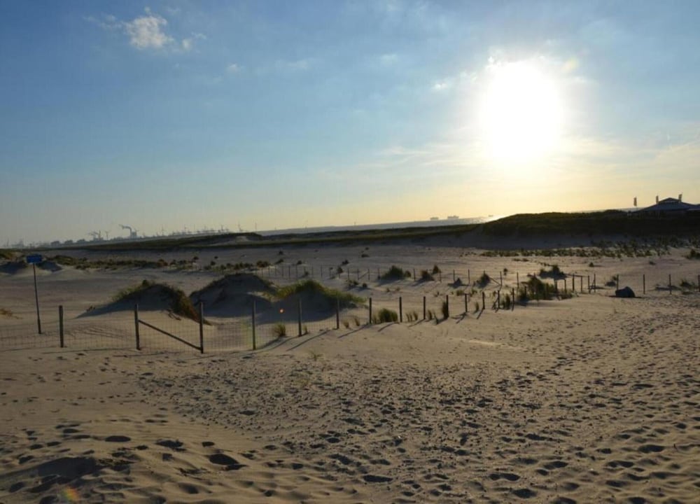 Bungalow in Netherlands Near the Coast, photo 7