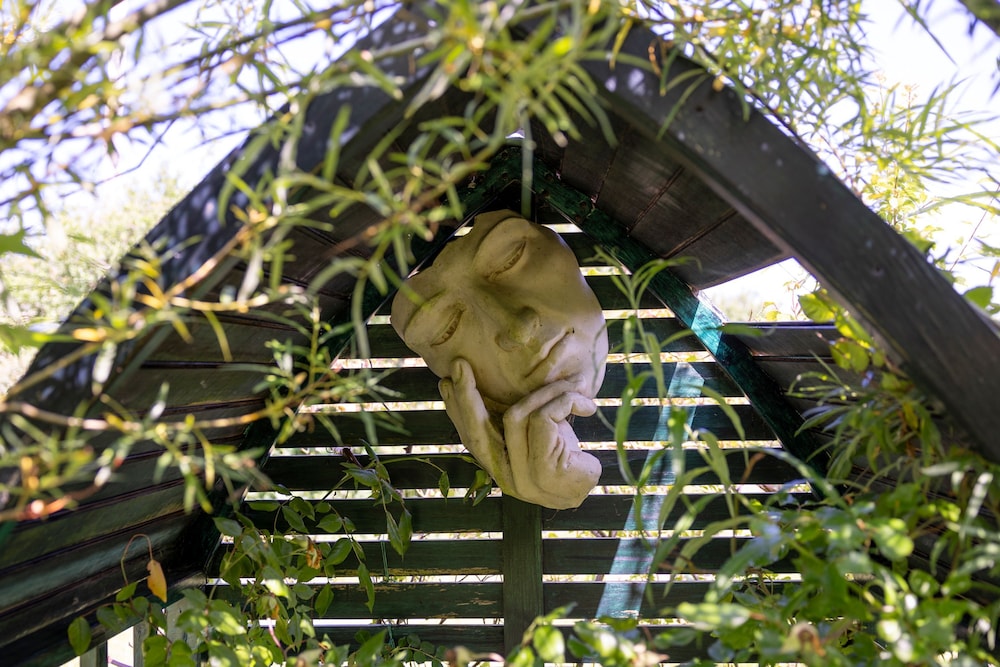 Willow at Gorslwyd - Sound Retreat