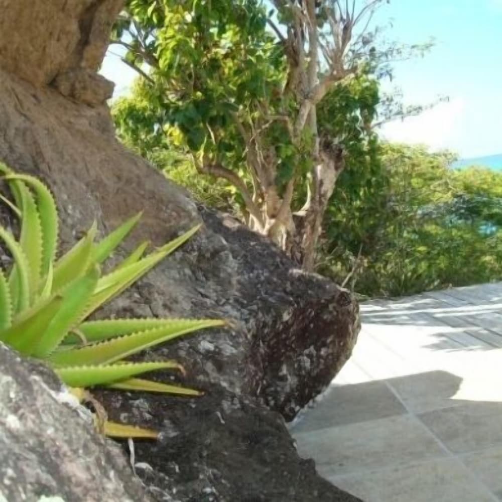 Galley Bay Cottages - Property Image 30