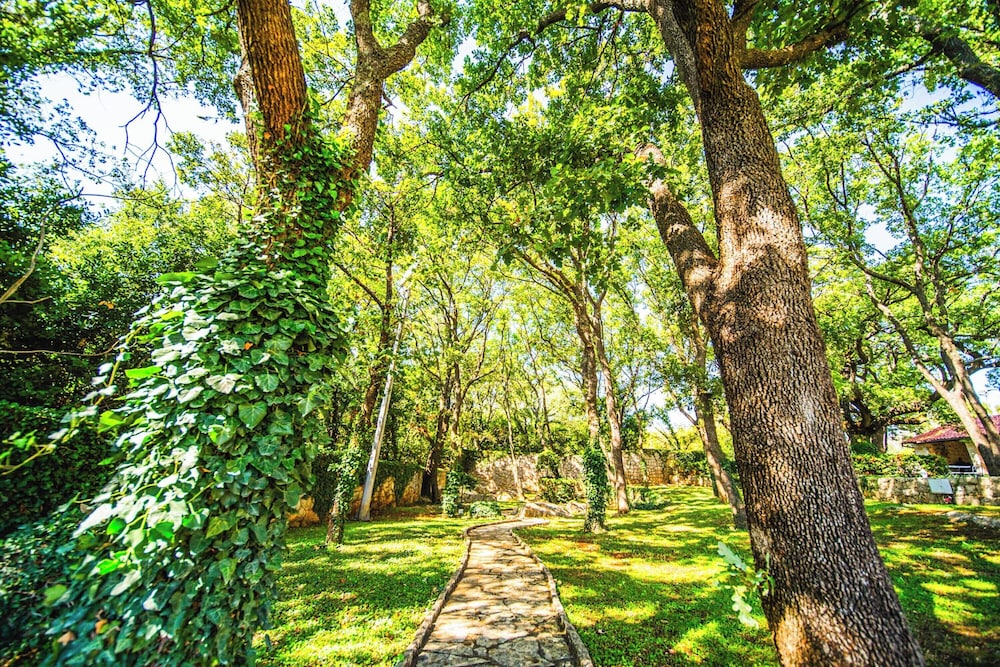 Green Oasis