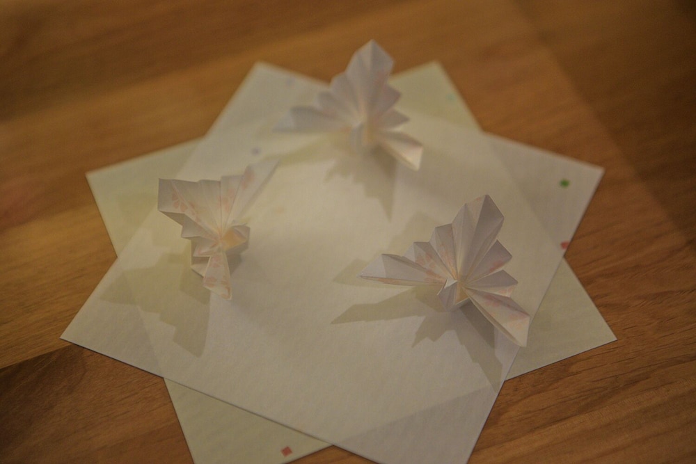 Photo 45