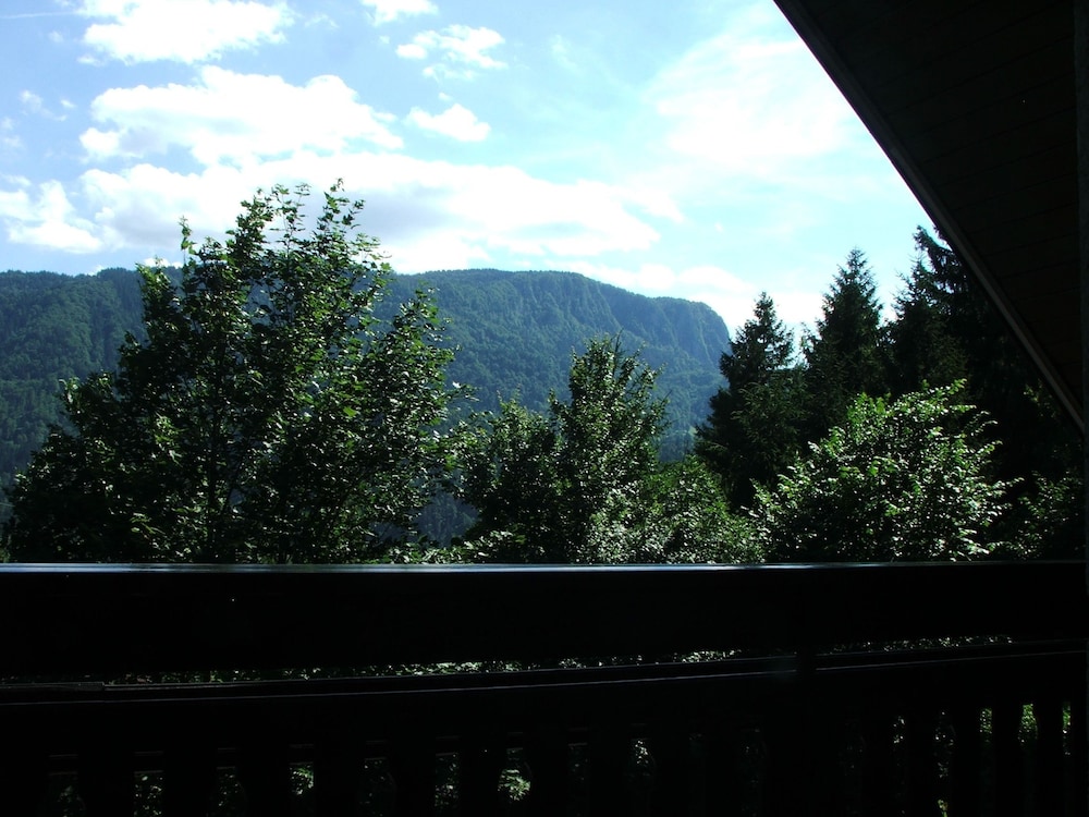 Photo 36