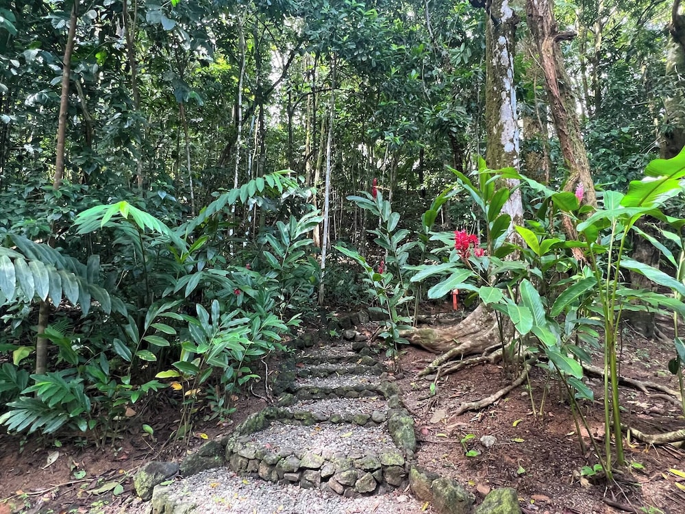 Luxurious Rainforest Retreat in Drake Bay, Osa, Costa Rica