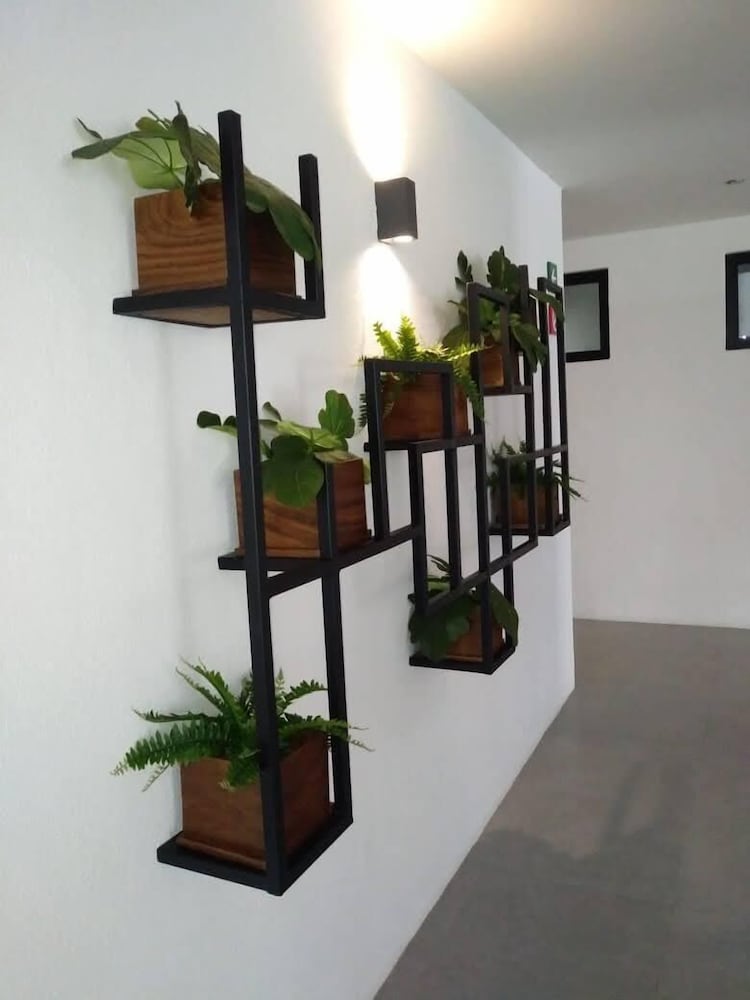 Roma 240 Versalles by Tovigo Rentals