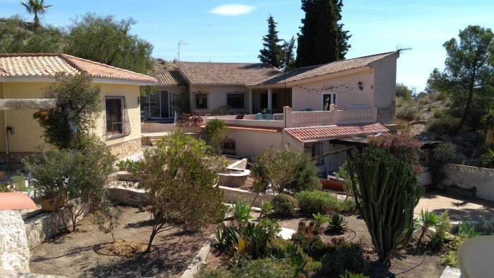 Photo 19