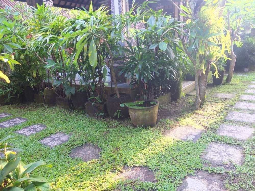 Photo 45