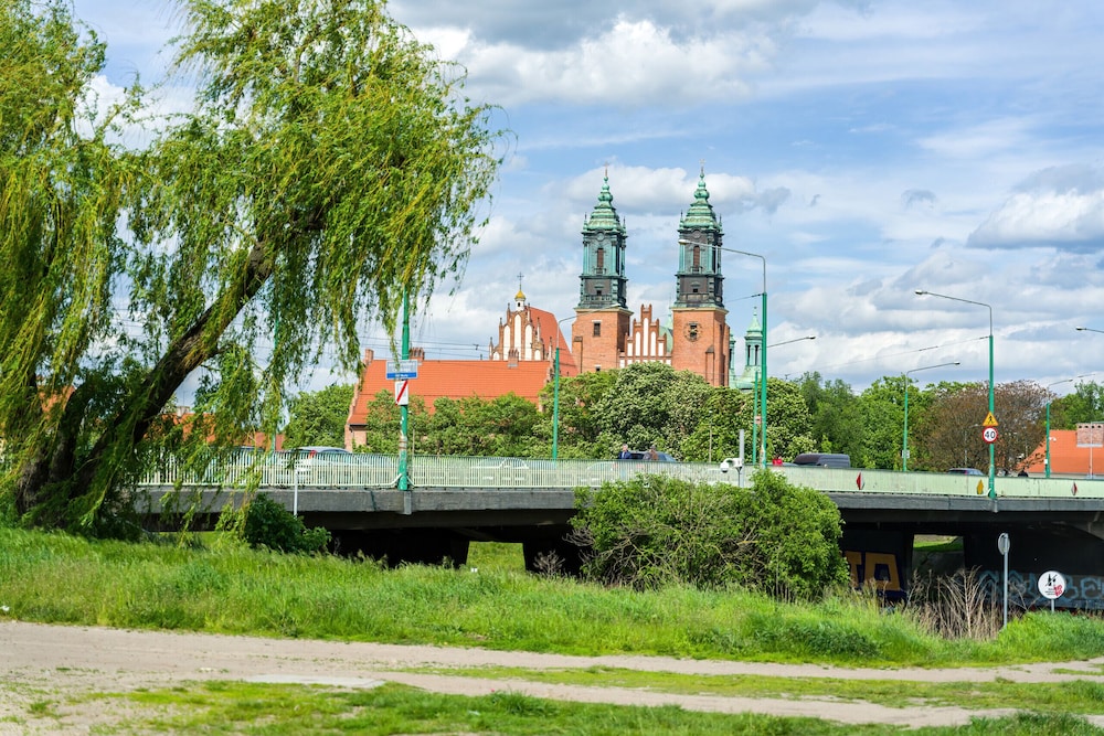 Photo 40
