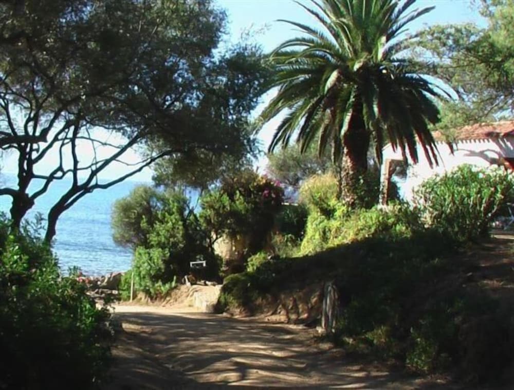 Photo 42