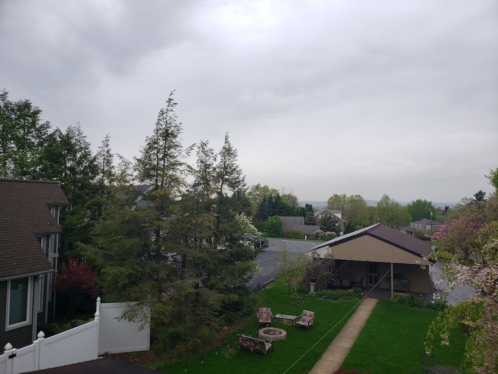 Photo 43