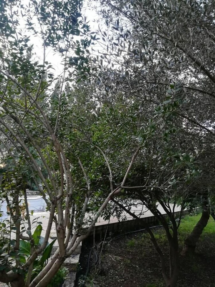 Photo 47