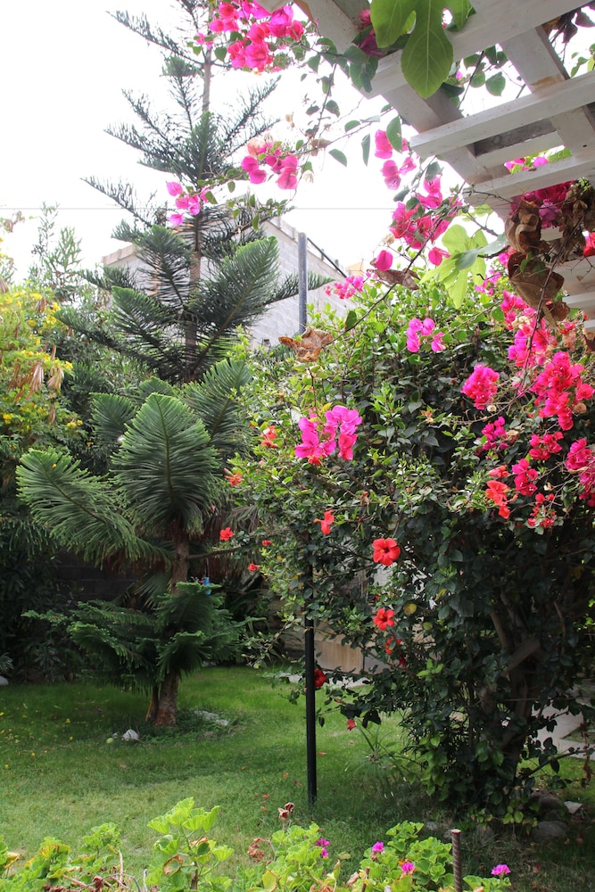 Hotel Casa del Profesor