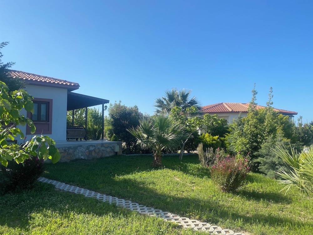 Karina Vineyard Evi - Image 25