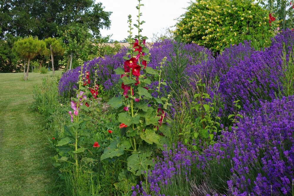 Le hameau des Coquelicots