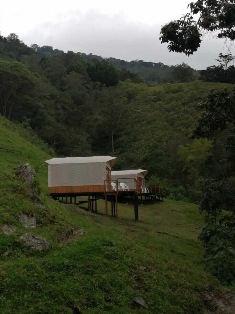 Finca Los Arboles
