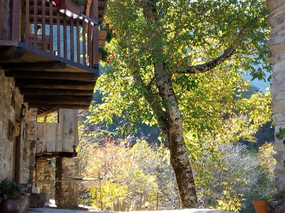 Cozy Cottage in Benllera with Hot Tub photo 4