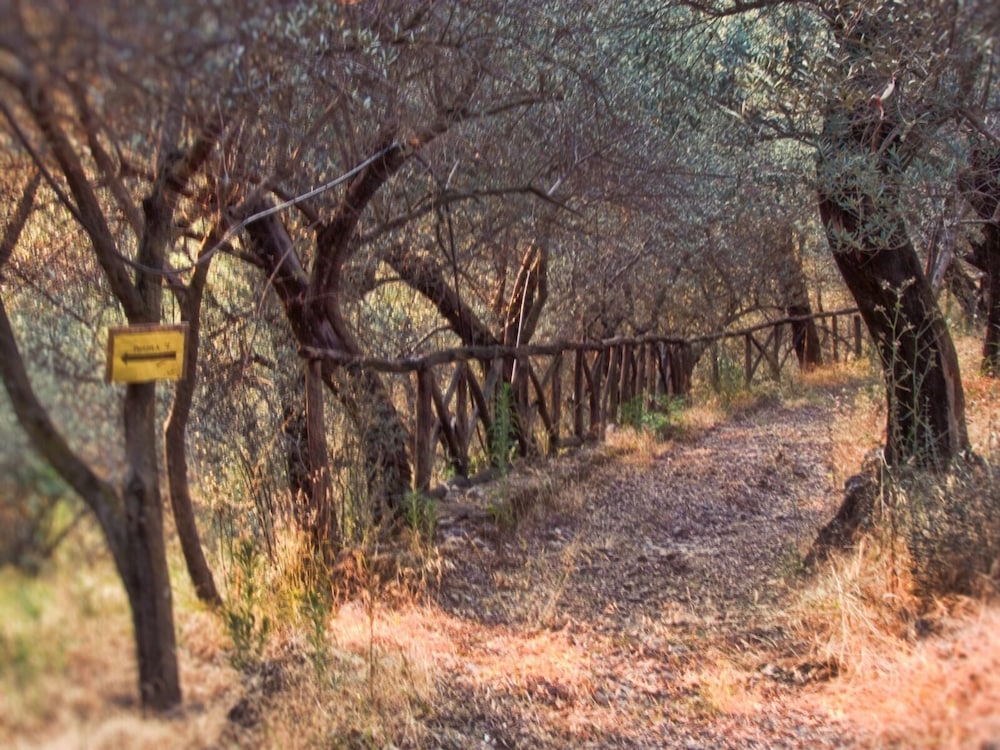 Casa Scola Agriturismo