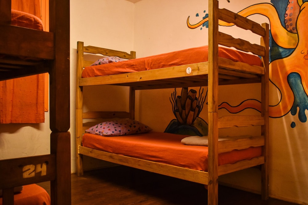 B&B Hostel