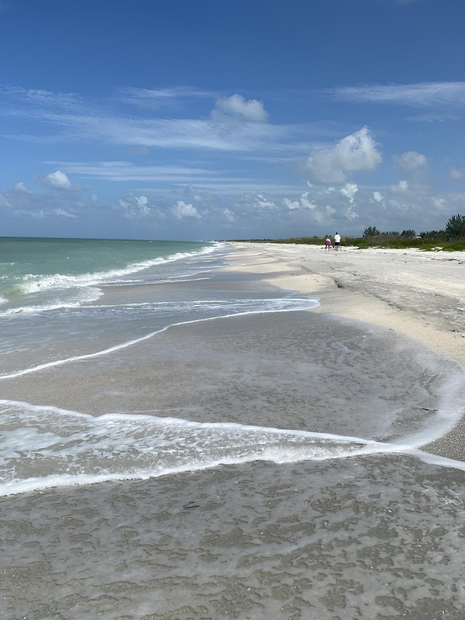 Tropical Winds Motel & Cottages