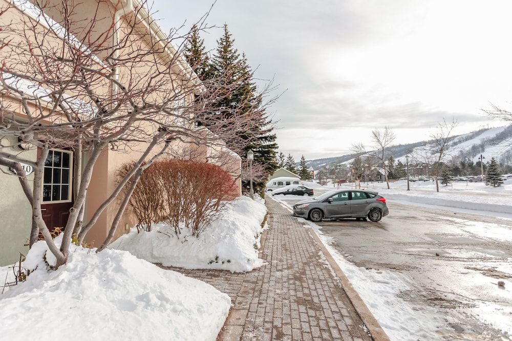 Wintergreen Condos