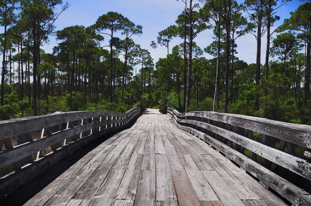 221 Audubon 3 Bedroom Holiday Home By Coastal Dreamin