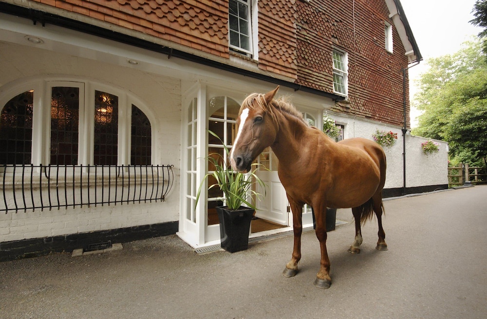 Moorhill House Hotel