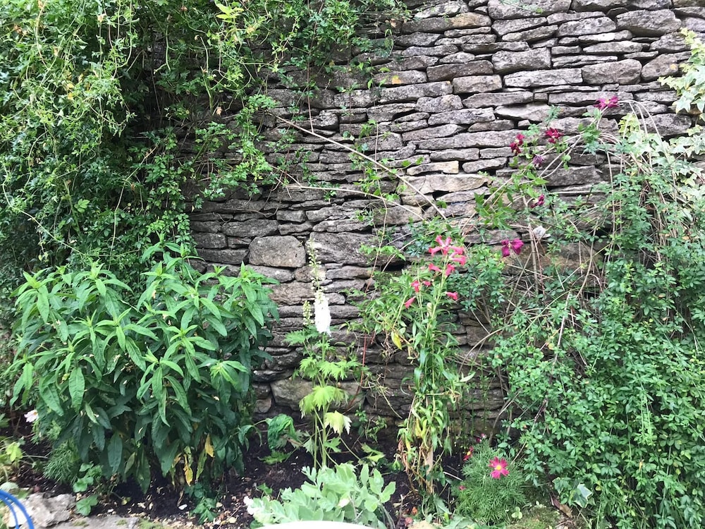 Photo 36