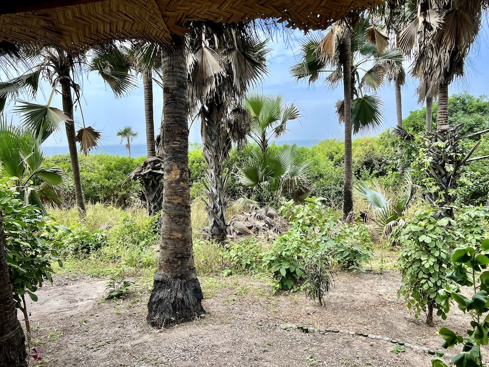 Nemasu Eco-Lodge