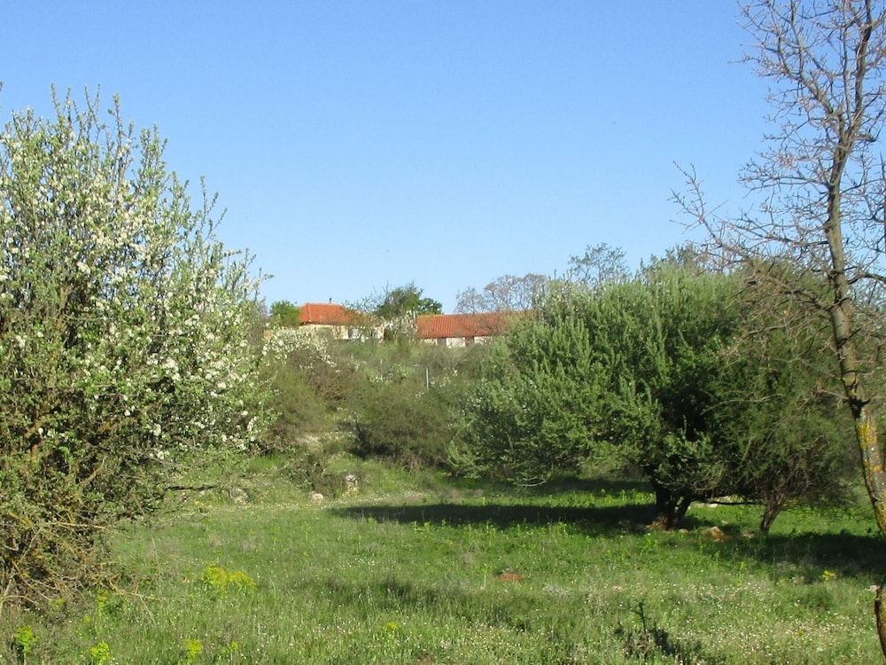 Photo 13