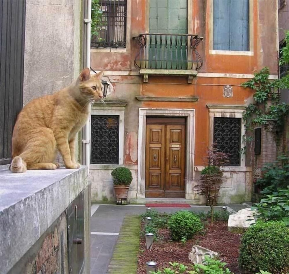 Ca Angeli