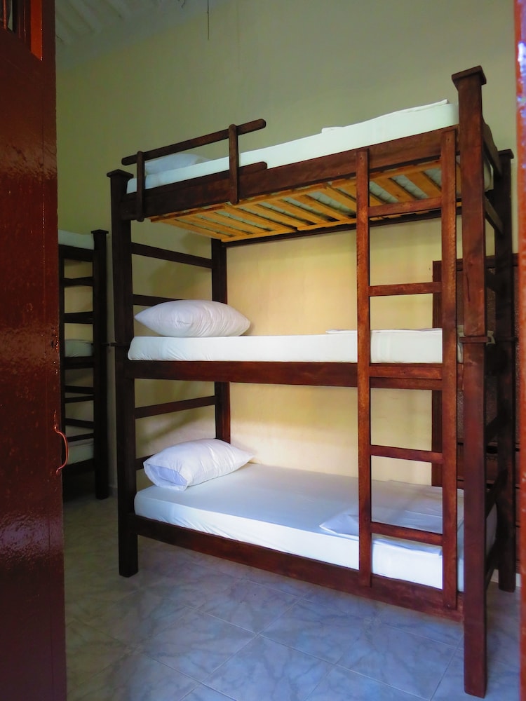 Carob Tree Villa in Latsi