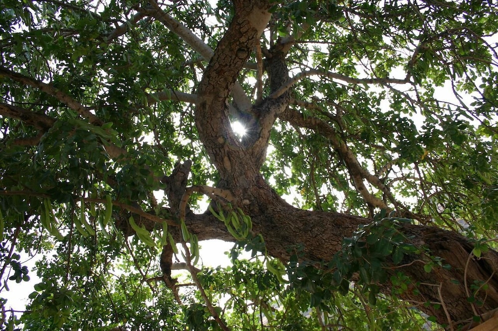 La Suma Sumalia