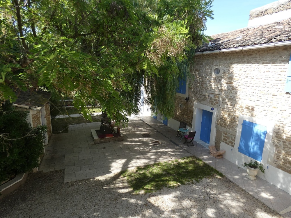 Photo 12
