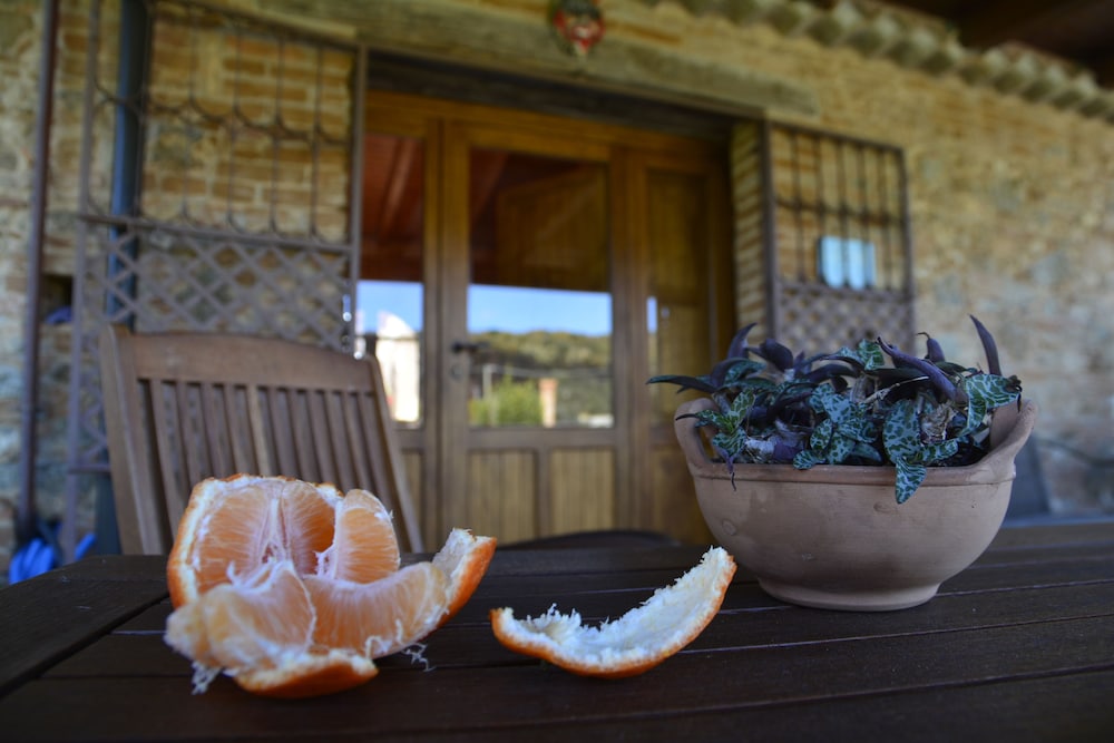 Agriturismo Le Terre Zoè