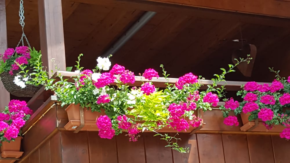 Ferienhaus Pfeifer view 2