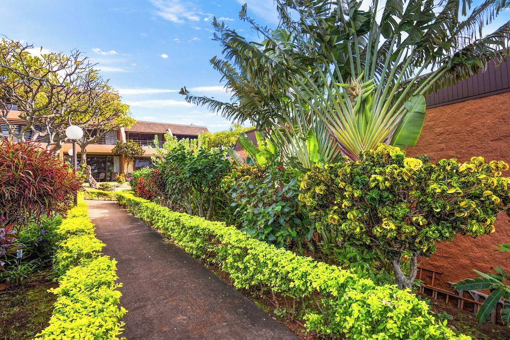 Kuleana Club - 402