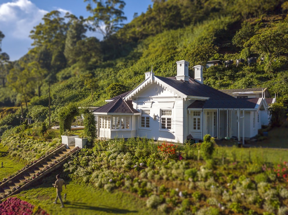 The Clovelly Bungalow