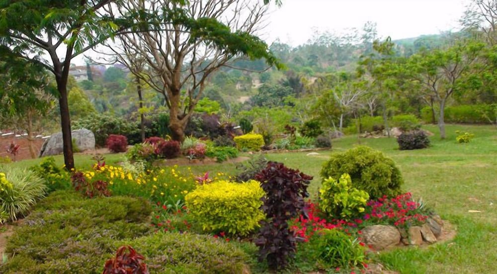 Palm Valley Lodge