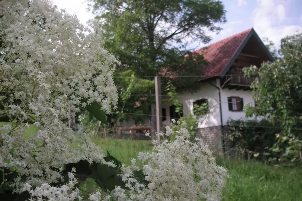 Bauernhof Grain