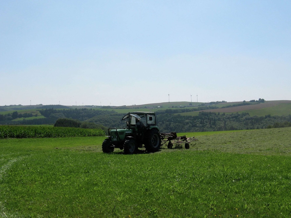 Large Group House, Beautifully Located in Eifel view 4