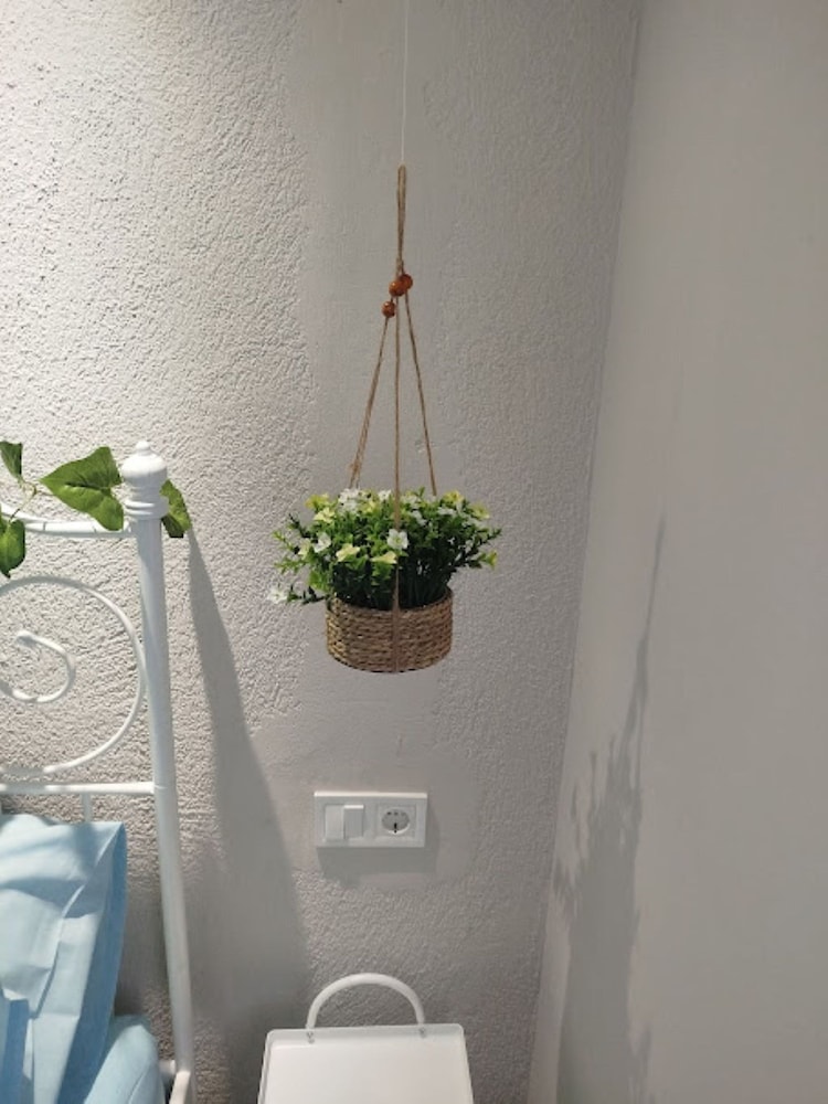 Liana s Stylish House