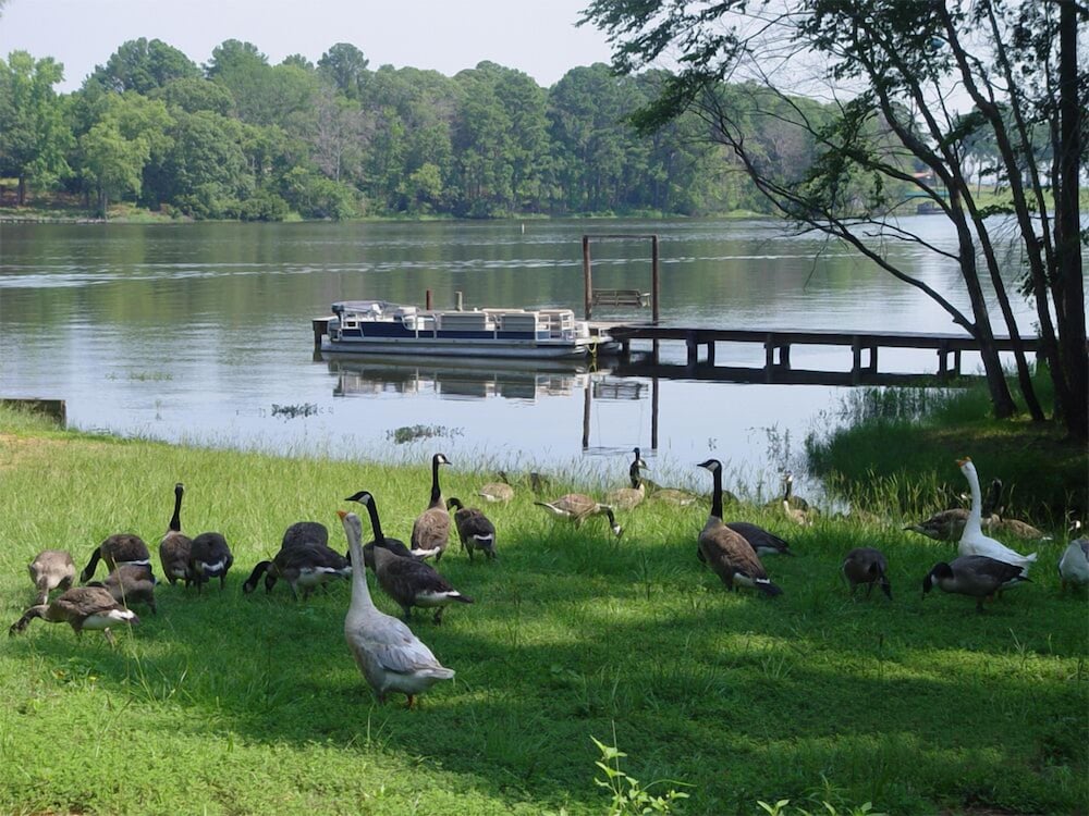 Frankston Home W/deck Fishing on Lake Palestine! - Property Image 27