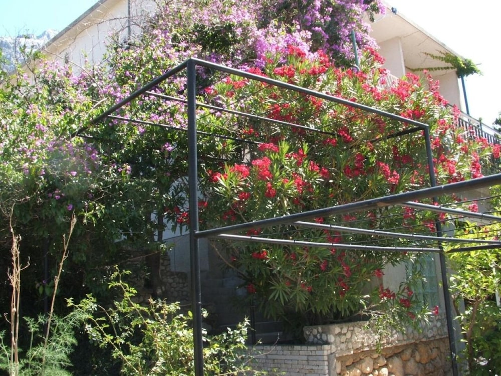 Secret Garden - Seaview - A2