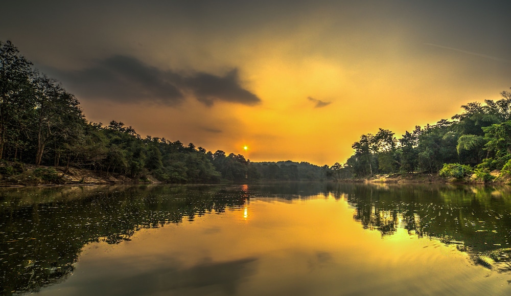 Quiet by the River