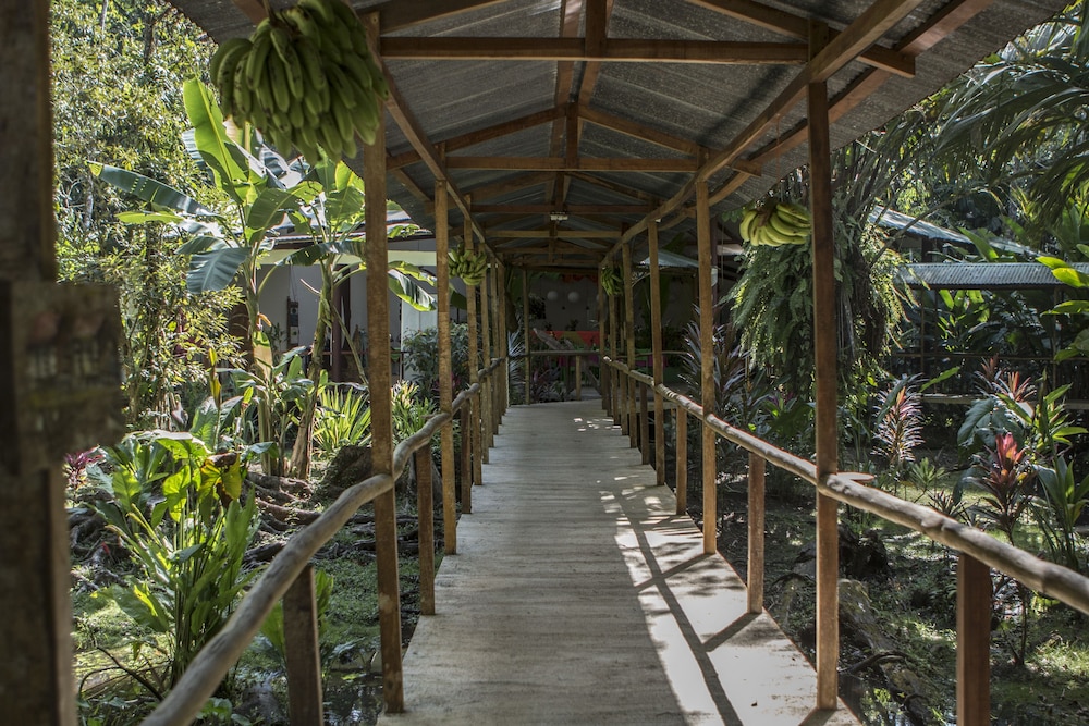Caribbean Paradise Eco-Lodge